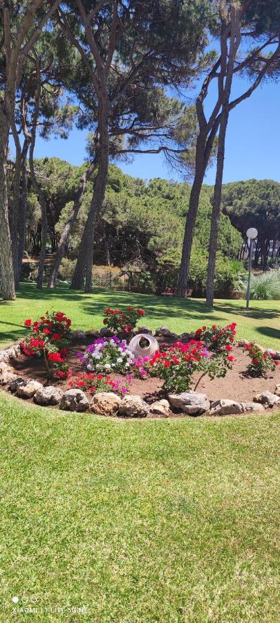 Sitio de Calahonda Algaidabeach-Paseolitoral מראה חיצוני תמונה