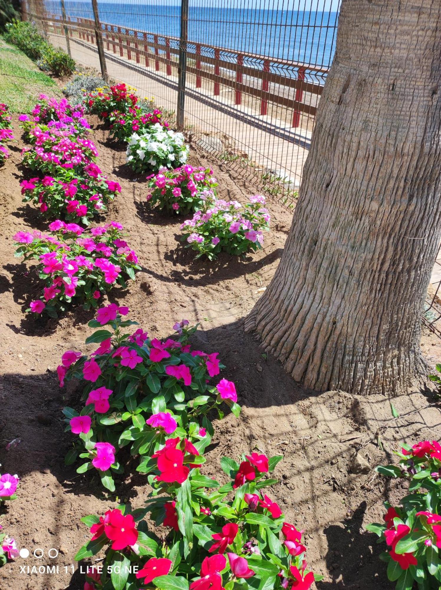 Sitio de Calahonda Algaidabeach-Paseolitoral מראה חיצוני תמונה