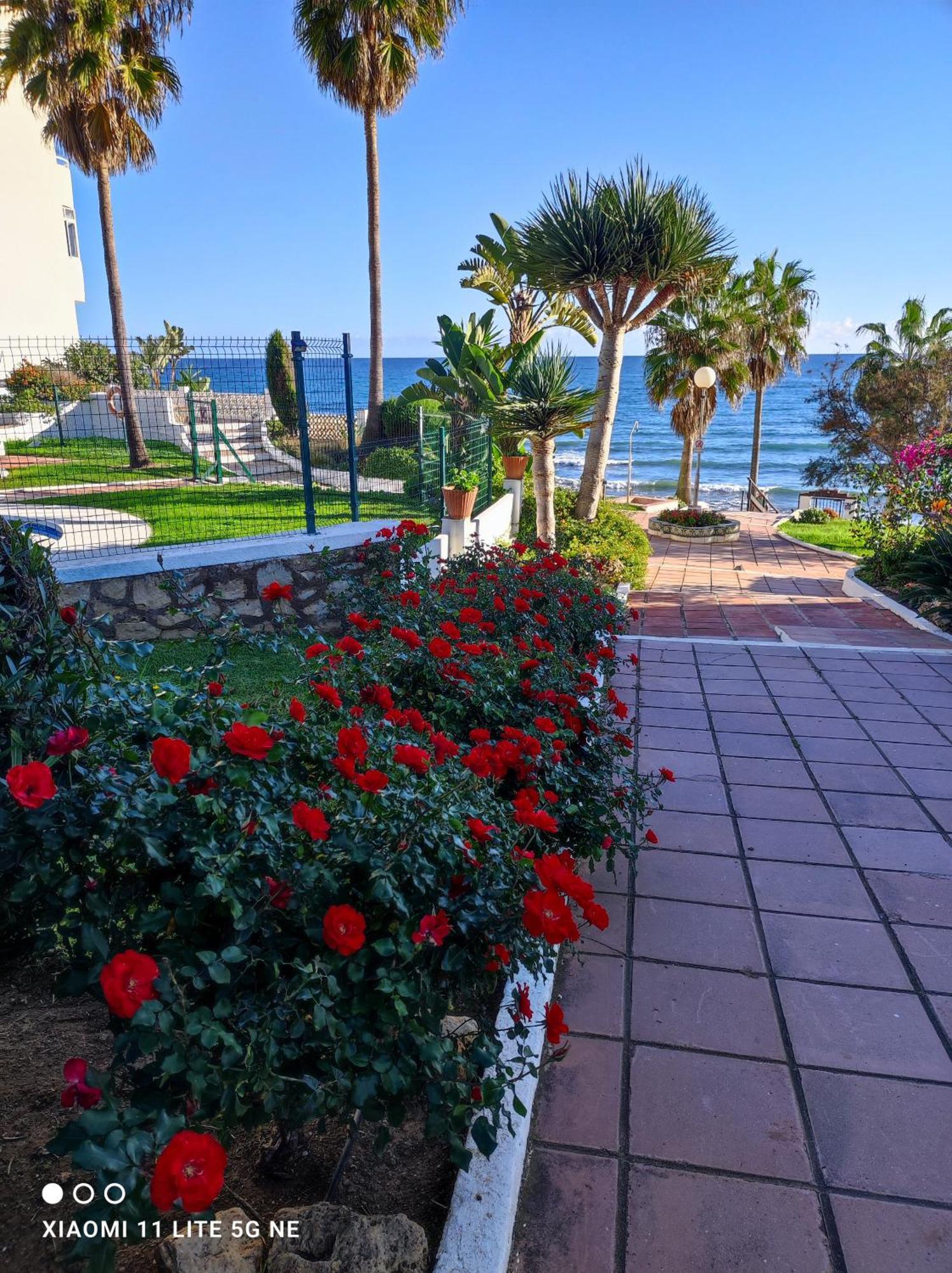 Sitio de Calahonda Algaidabeach-Paseolitoral מראה חיצוני תמונה
